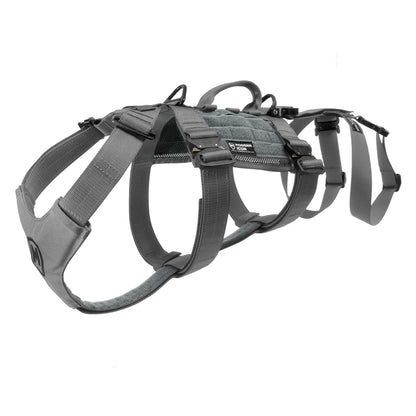 Rappelling Harness - Modern Icon