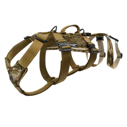 Rappelling Harness - Modern Icon