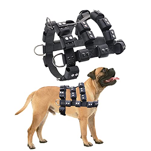 Power & Weight Harness