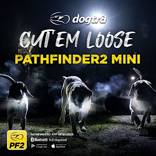 DOGTRA Pathfinder 2 GPS Mini