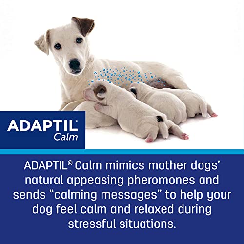 ADAPTIL Calming Pheromone Collar for Dogs