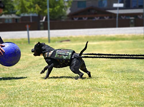 XDOG Resistance Band (2.4 M)