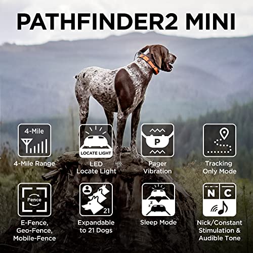 DOGTRA Pathfinder 2 GPS Mini